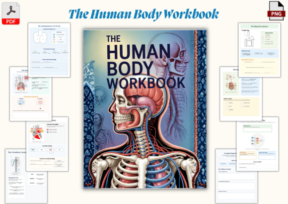 The Human Body Workbook